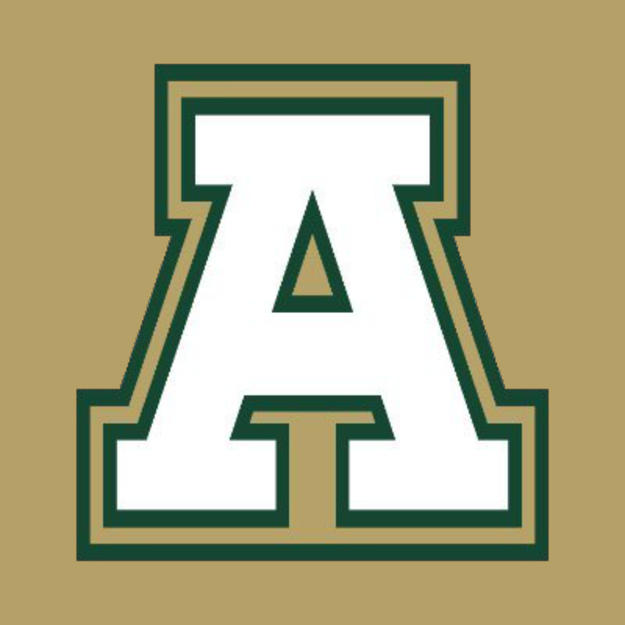 3 Names to Know: Adairsville Tigers - NwGaFootball